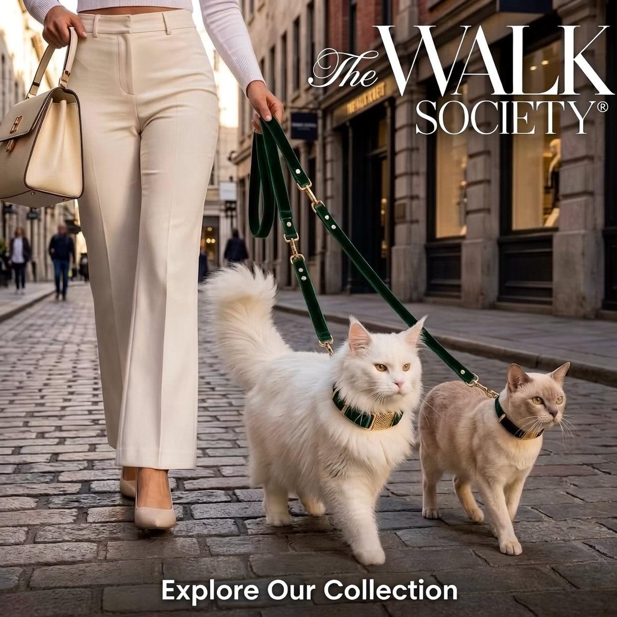 Cat Accessories & Collection